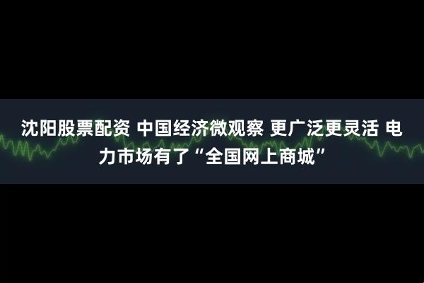 沈阳股票配资 中国经济微观察 更广泛更灵活 电力市场有了“全国网上商城”