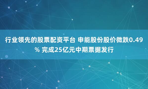 行业领先的股票配资平台 申能股份股价微跌0.49% 完成25亿元中期票据发行
